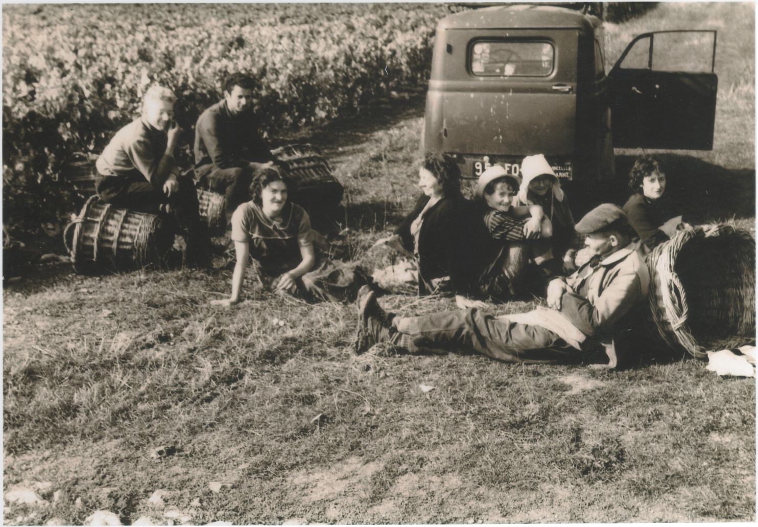 Vendanges 1940